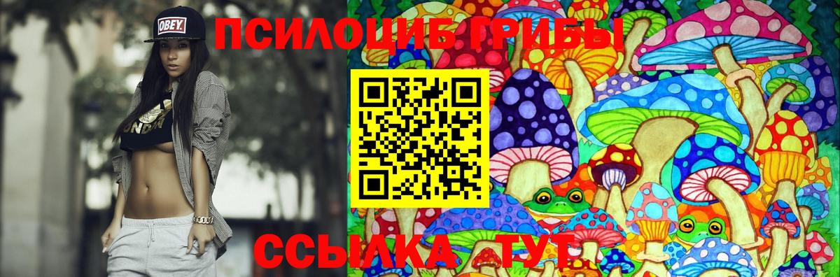 Псилоцибиновые грибы Cubensis  Вход с VPN  Калач-на-Дону  Галлюциногенные грибы GOLDEN TEACHER 