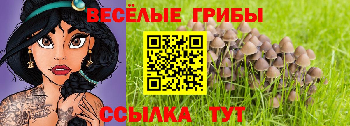 Галлюциногенные грибы Cubensis Калач-на-Дону